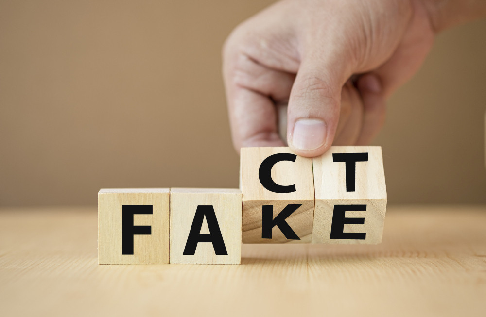 Holzwürfel mit "Fact" und "Fake"